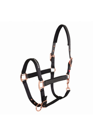 Kantar IR Belle Star