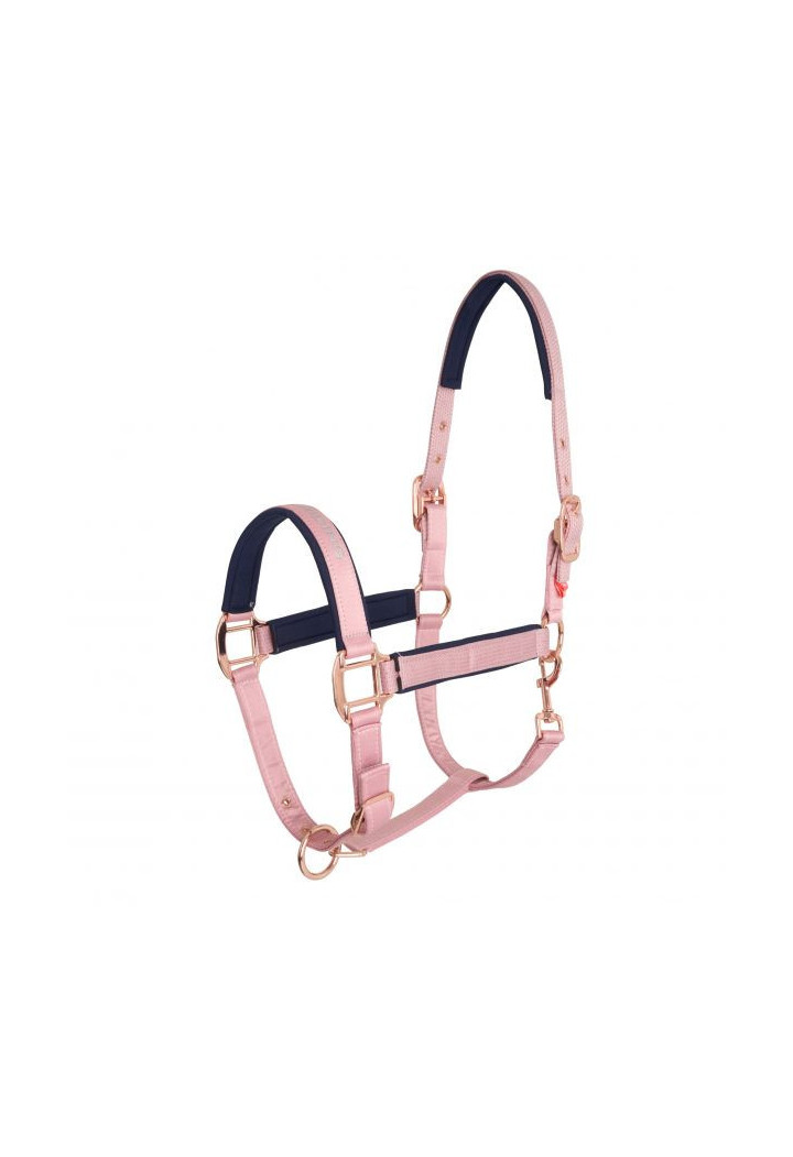 Kantar IR Belle Star