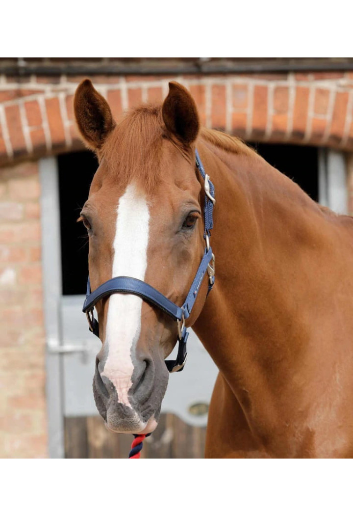 Kantar PREMIER EQUINE Plain