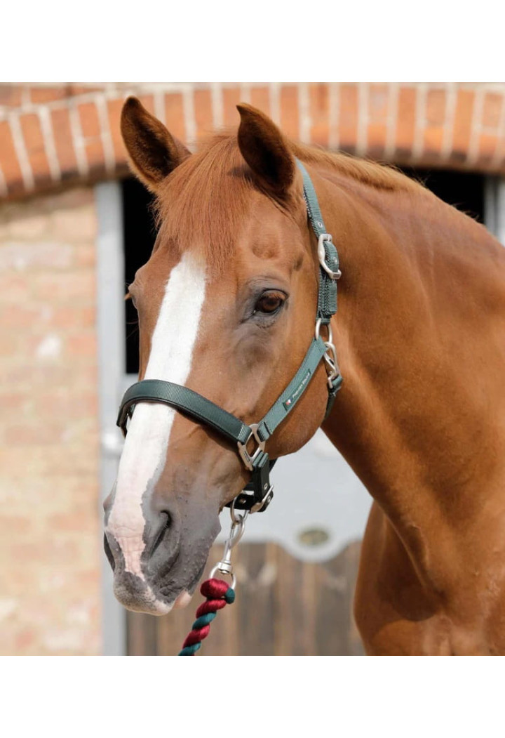 Kantar PREMIER EQUINE Plain