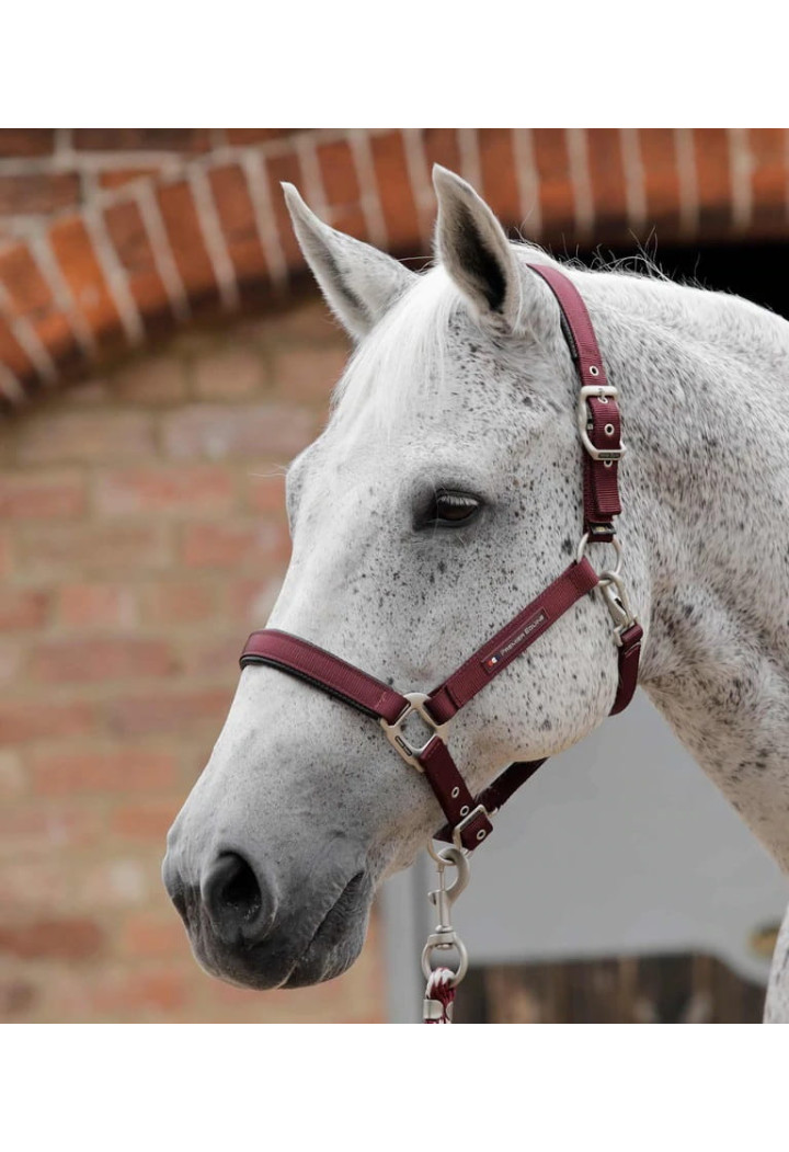 Kantar PREMIER EQUINE Plain