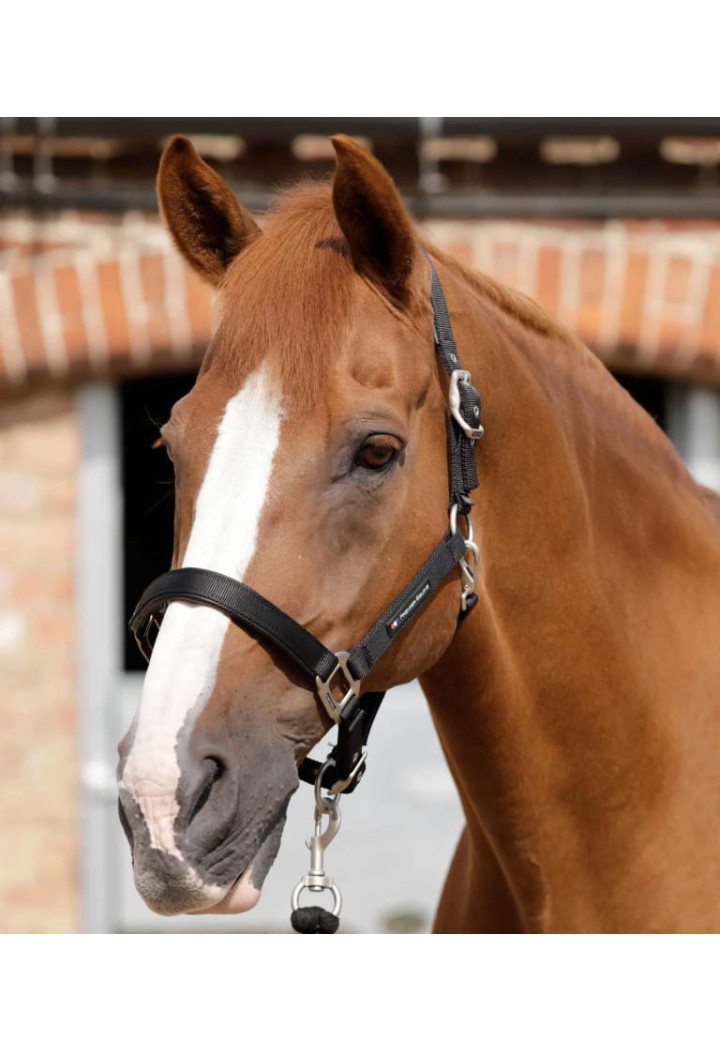 Kantar PREMIER EQUINE Plain