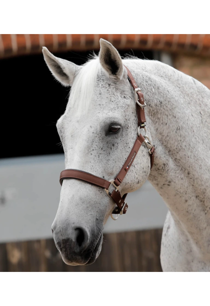 Kantar PREMIER EQUINE Plain