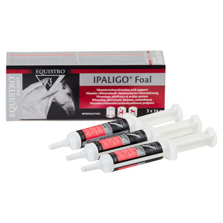 Preparat wzmacniający EQUISTRO Ipaligo Foal 3x14g