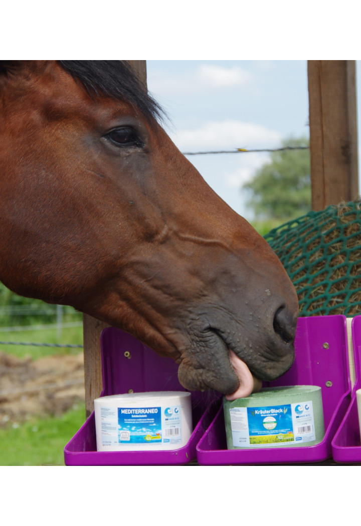 Lizawka mineralna IMIMA KrauterBlock 3kg