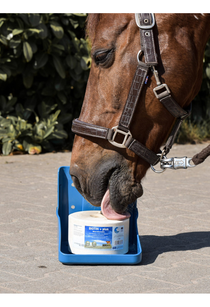 Lizawka mineralna IMIMA Biotin + plus 3kg