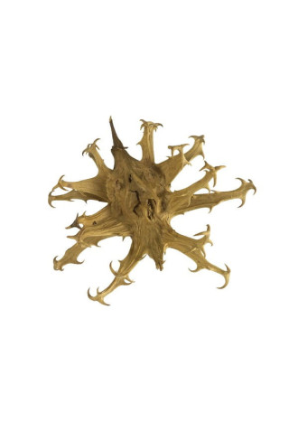 Czarci pazur EQUIHERBS mielony 500g