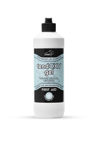 Żel regenerujący JUMP IT TendOXY Gel 500ml