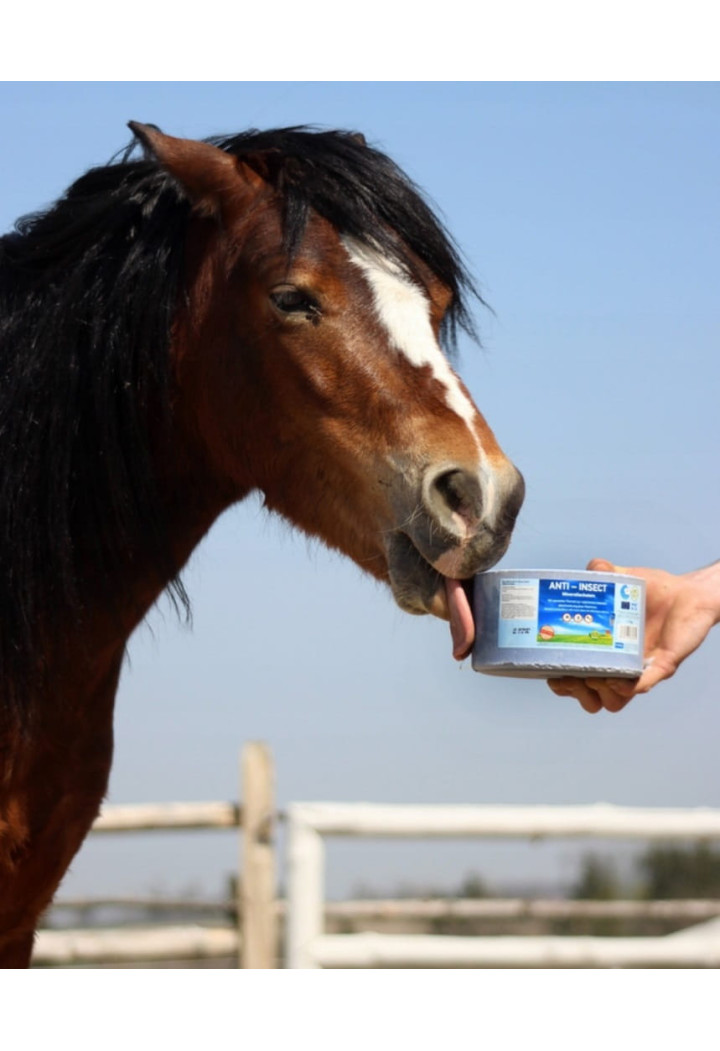 Lizawka mineralna IMIMA Anti-Insect 3kg