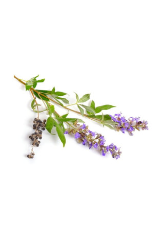 Niepokalanek pospolity EQUIHERBS 500g