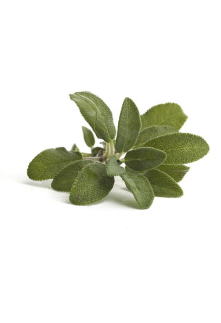 Szałwia EQUIHERBS ziele 500g