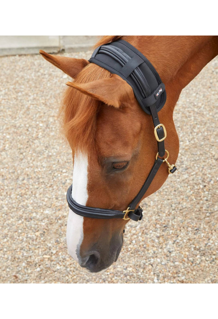 Podkładka na potylicę PREMIER EQUINE MagniTeque