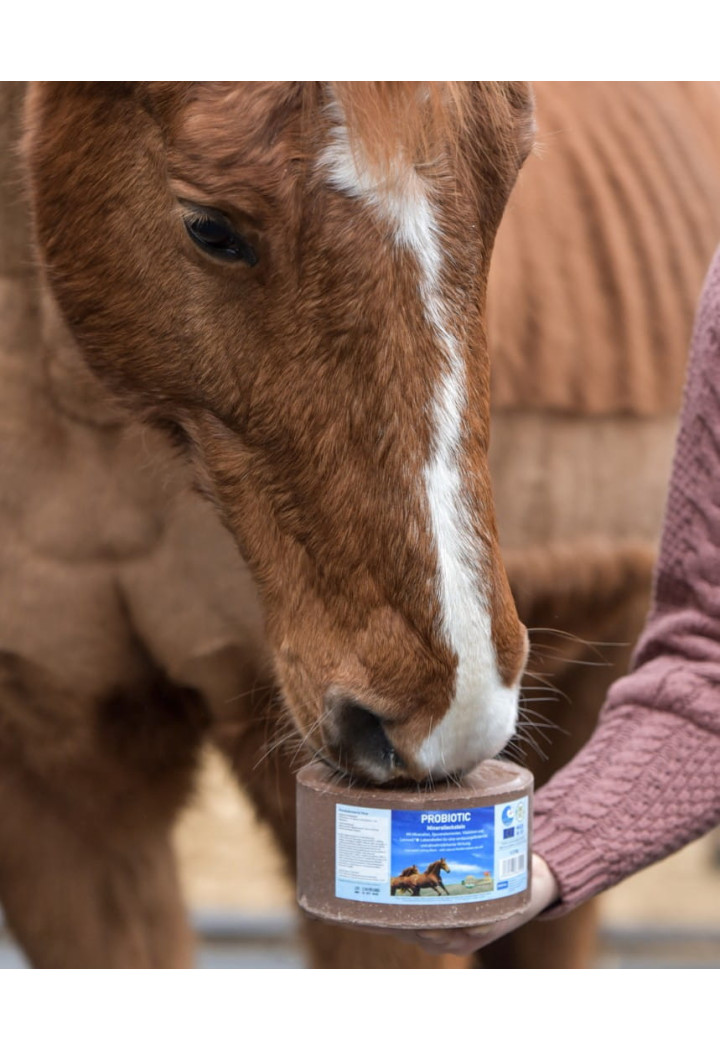 Lizawka mineralna IMIMA Probiotic 3kg