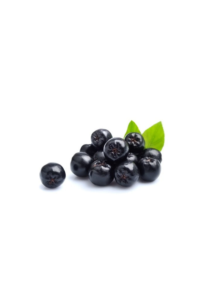 Aronia EQUIHERBS cały owoc 1000g