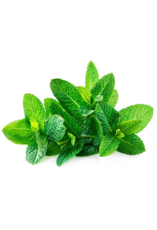 Mięta EQUIHERBS ziele 1000g