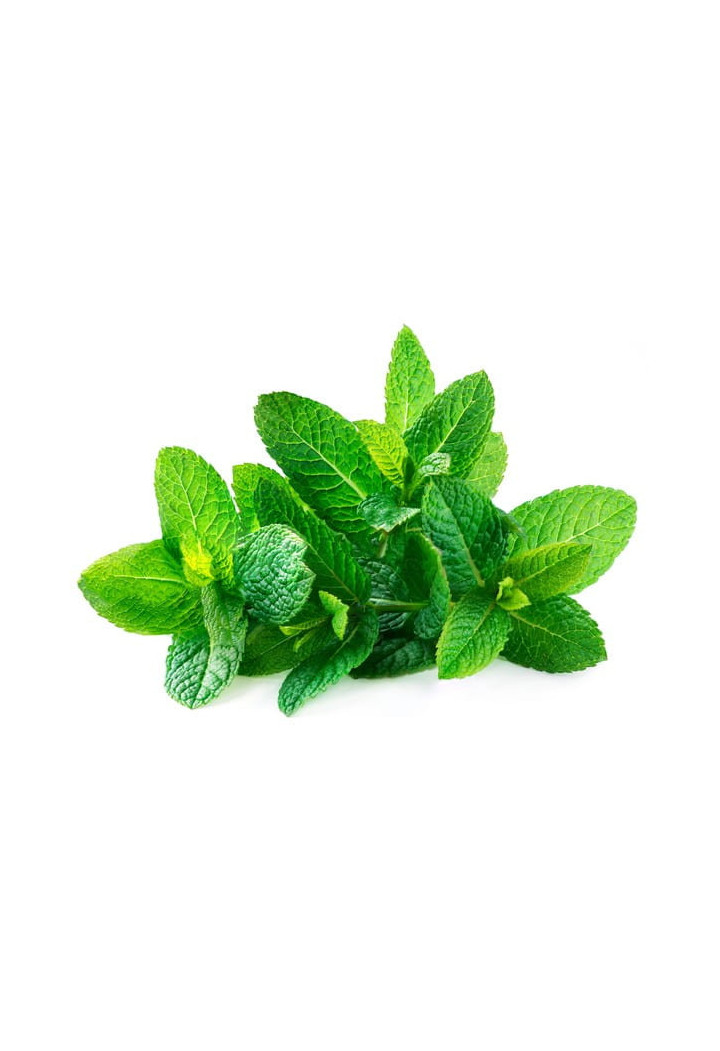 Mięta EQUIHERBS ziele 1000g