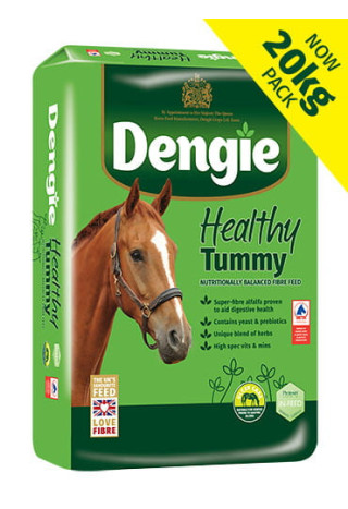 Sieczka DENGIE Healthy Tummy 20kg