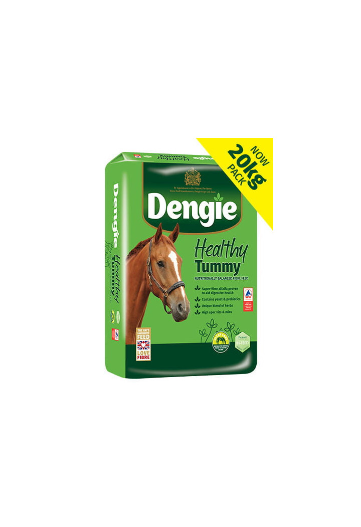 Sieczka DENGIE Healthy Tummy 20kg