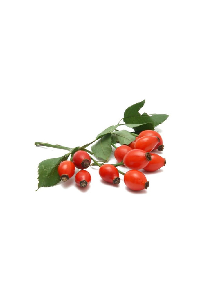 Dzika róża EQUIHERBS cały owoc 2500g