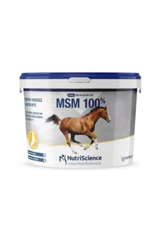 Suplement na stawy NUTRISCIENCE MSM 100% 1500g