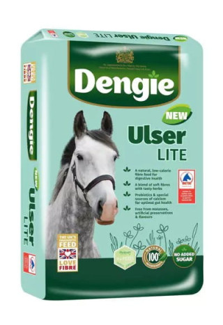 Sieczka DENGIE UlserLite dla koni wrzodowych 20kg
