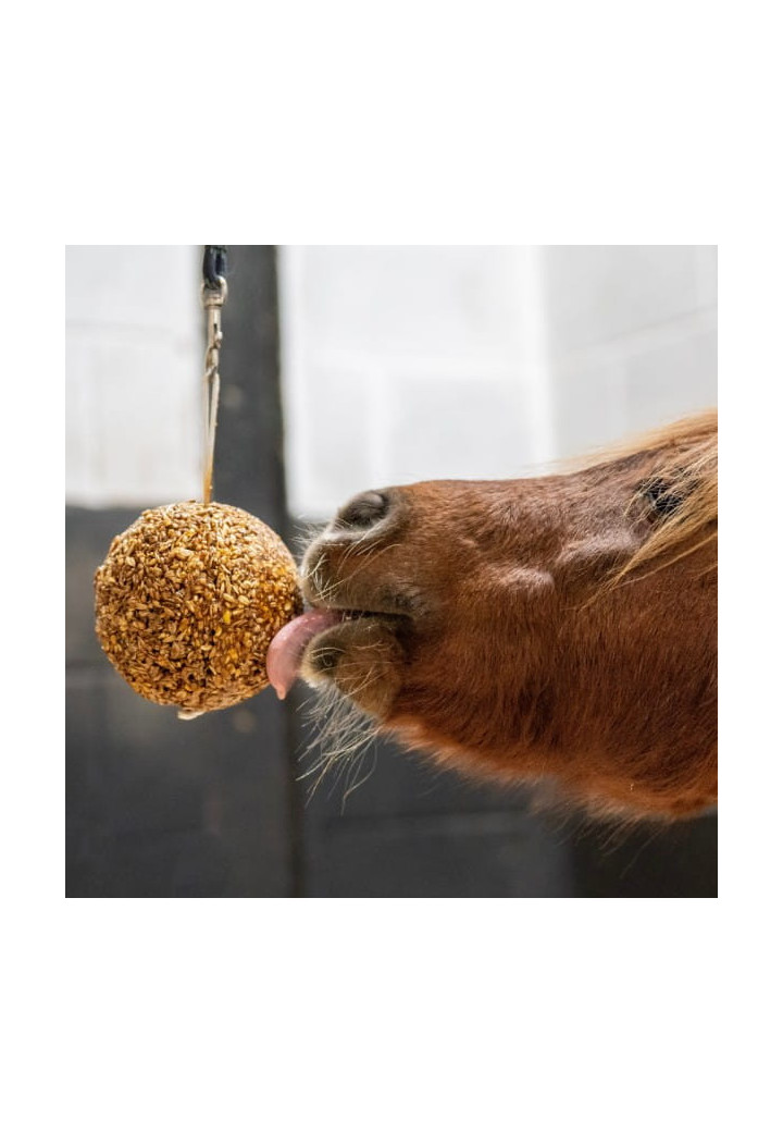 Lizawka LIKIT Granola Stall Ball peppermint 1,6kg