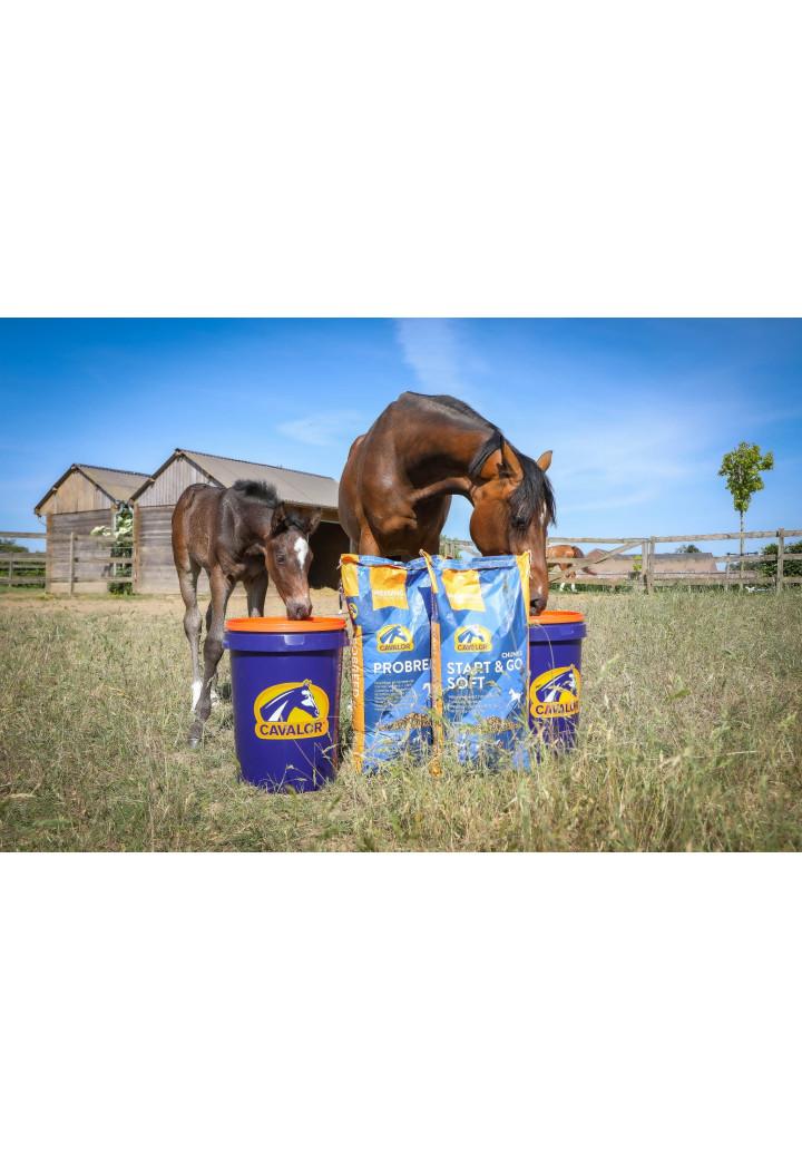 Pasza CAVALOR Probreed Mix dla klaczy h 20kg musli