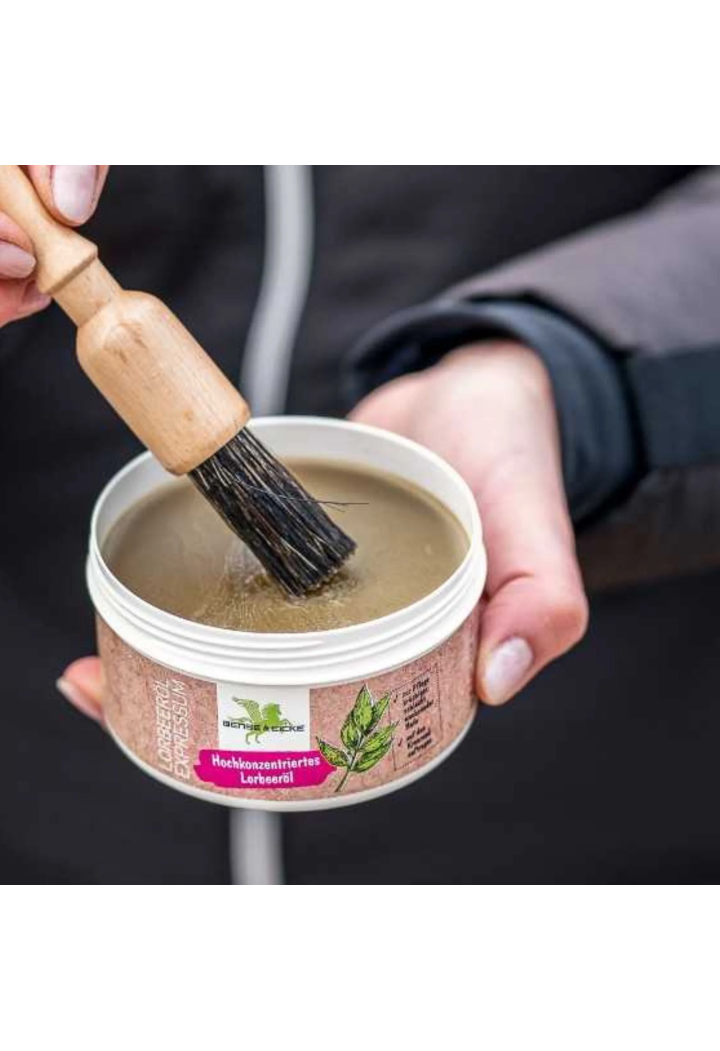 Maść do kopyt B&E LorbeerolExpressum 250ml