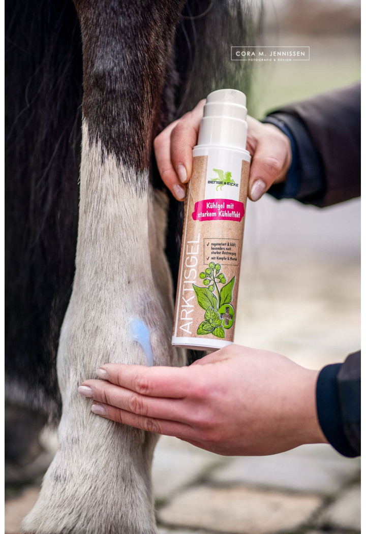 Żel chłodzący B&E ArktisGel kamfora/menthol 200ml