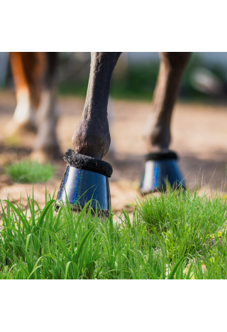 Kaloszki START Neoprene Holo