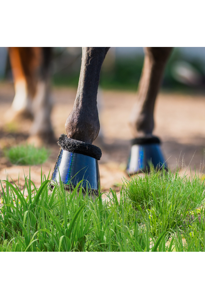 Kaloszki START Neoprene Holo
