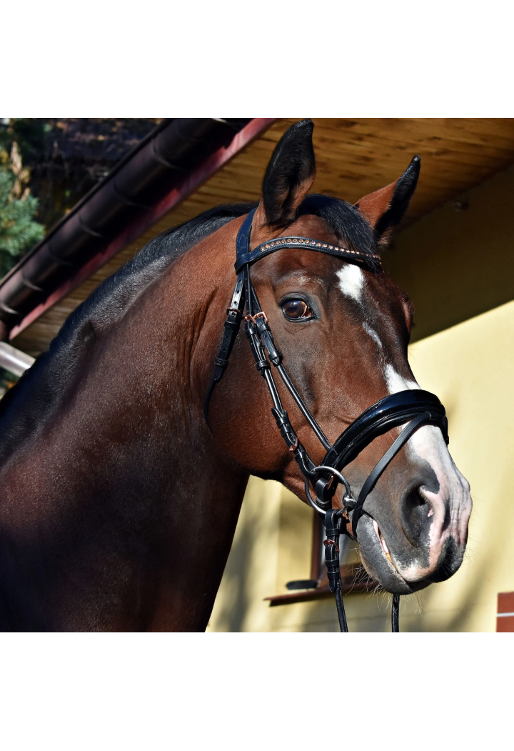 Ogłowie EQ.QUEEN Io