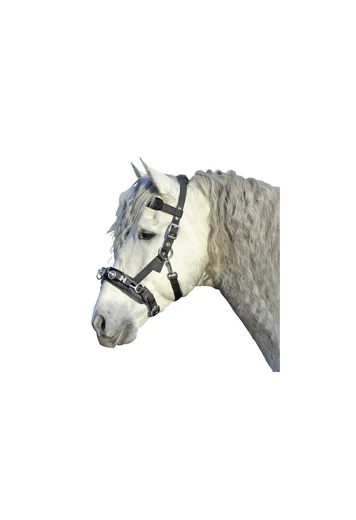6469