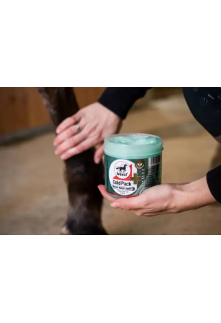 Żel regenerujący LEOVET ColdPack 1000ml chłod-rozg