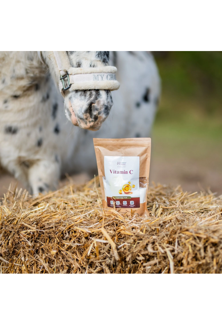 Witamina C OH Vitamin C 600g