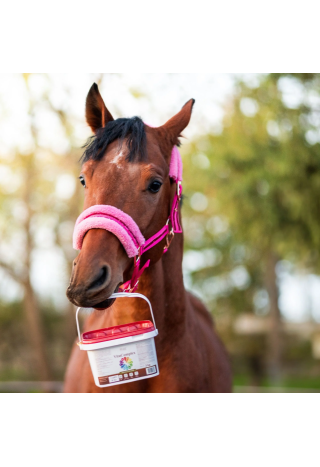 Witaminy dla koni OH VitaComplex 3kg