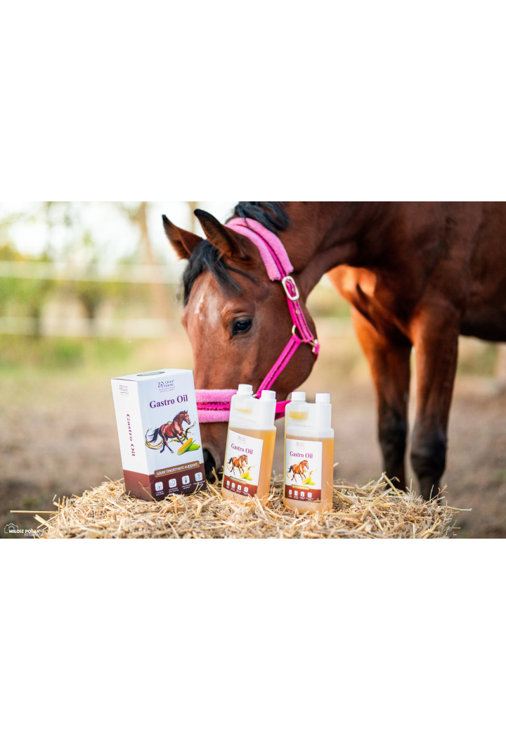 Olej dla koni wrzodowych OH GastroOil 2x1l