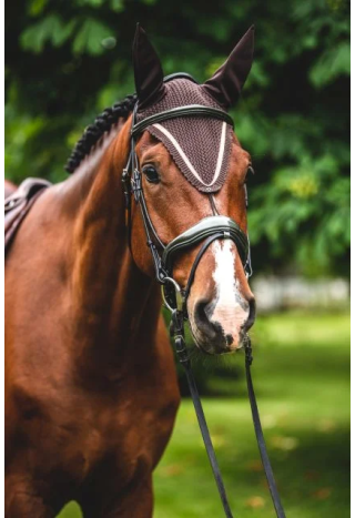 Nauszniki EQ.QUEEN Milan 23AW