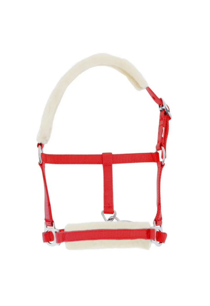 Kantar źrebięcy NORTON Fur