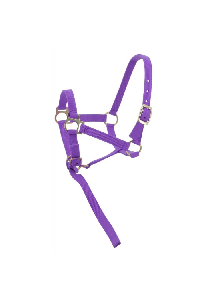 Kantar EKKIA headcollar + lead rope