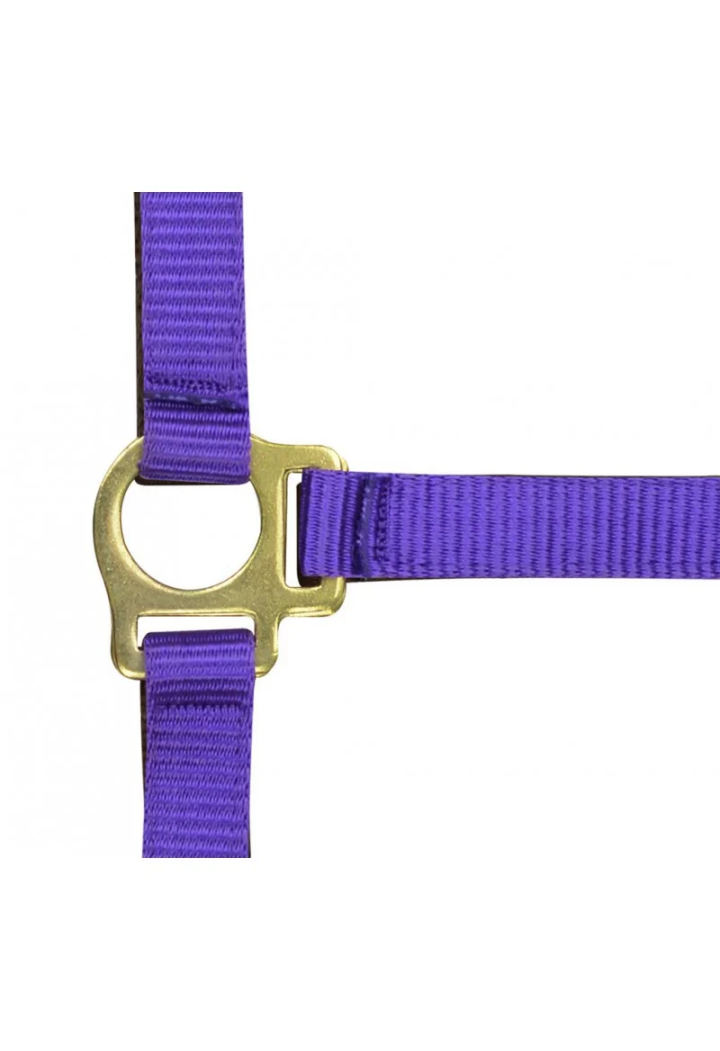 Kantar EKKIA headcollar + lead rope