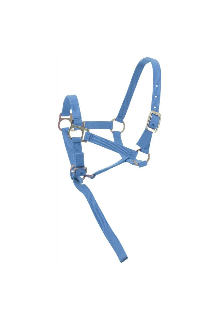 Kantar EKKIA headcollar + lead rope