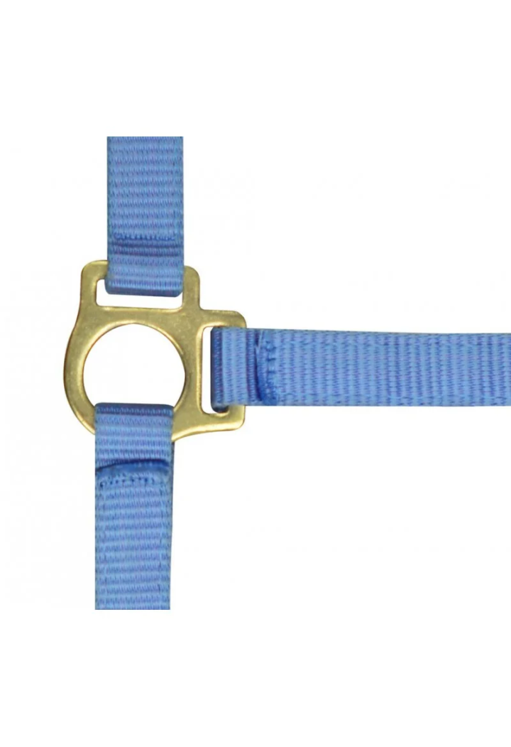 Kantar EKKIA headcollar + lead rope