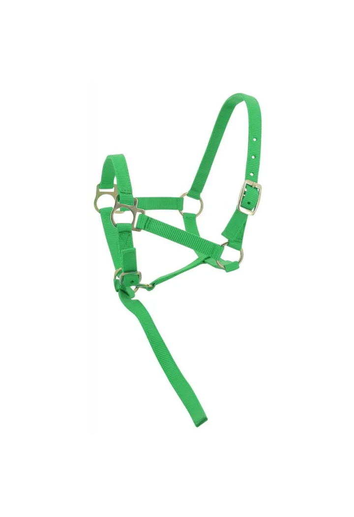 Kantar EKKIA headcollar + lead rope