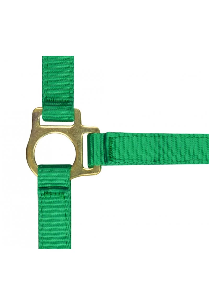 Kantar EKKIA headcollar + lead rope