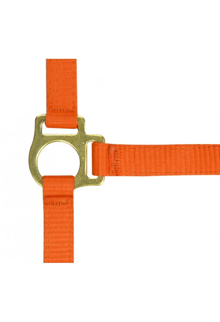 Kantar EKKIA headcollar + lead rope