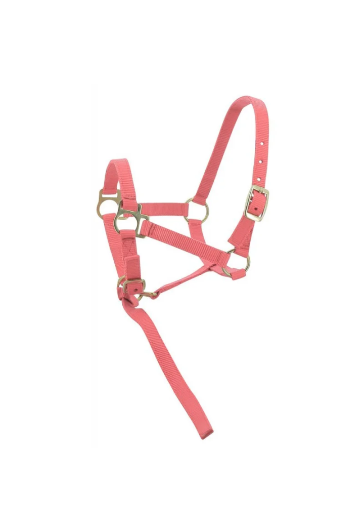Kantar EKKIA headcollar + lead rope