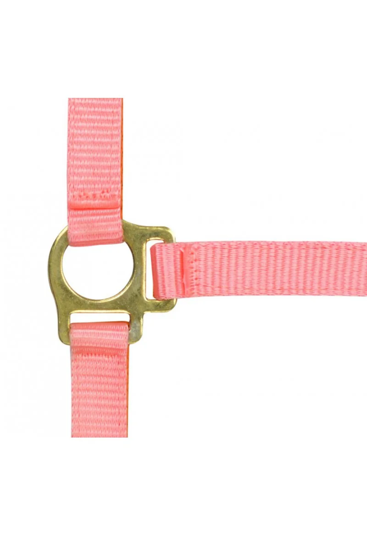 Kantar EKKIA headcollar + lead rope