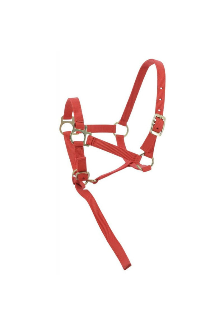 Kantar EKKIA headcollar + lead rope