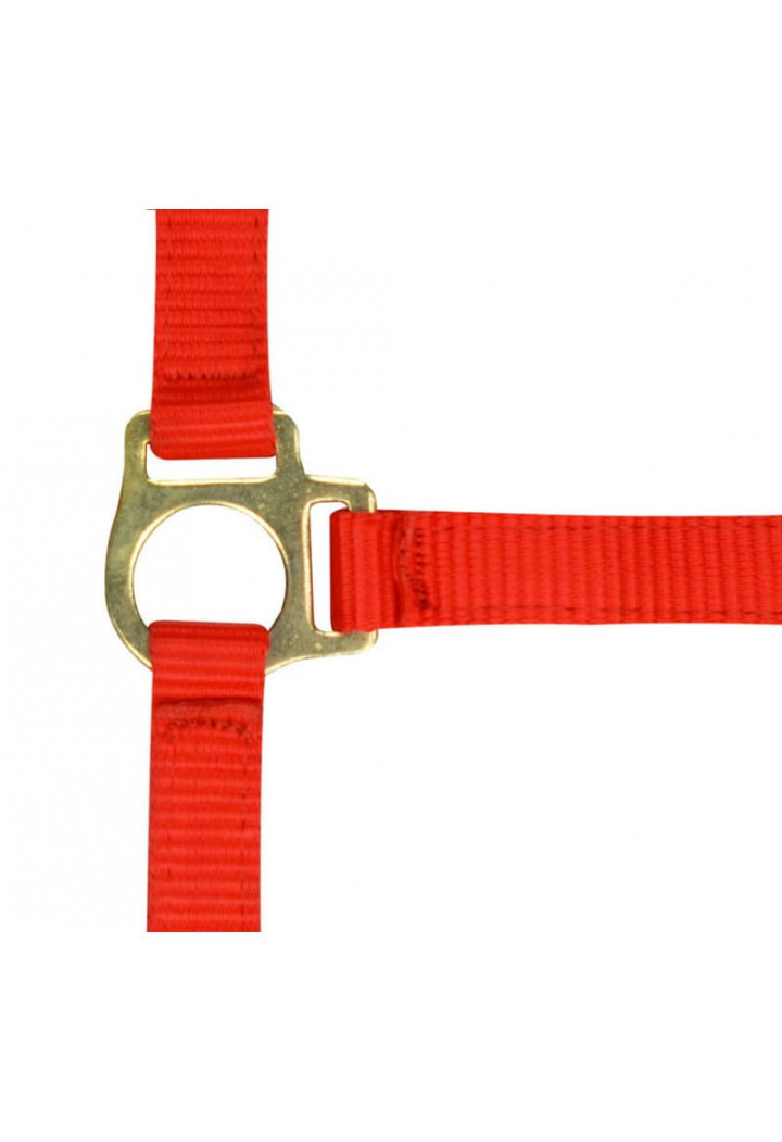 Kantar EKKIA headcollar + lead rope